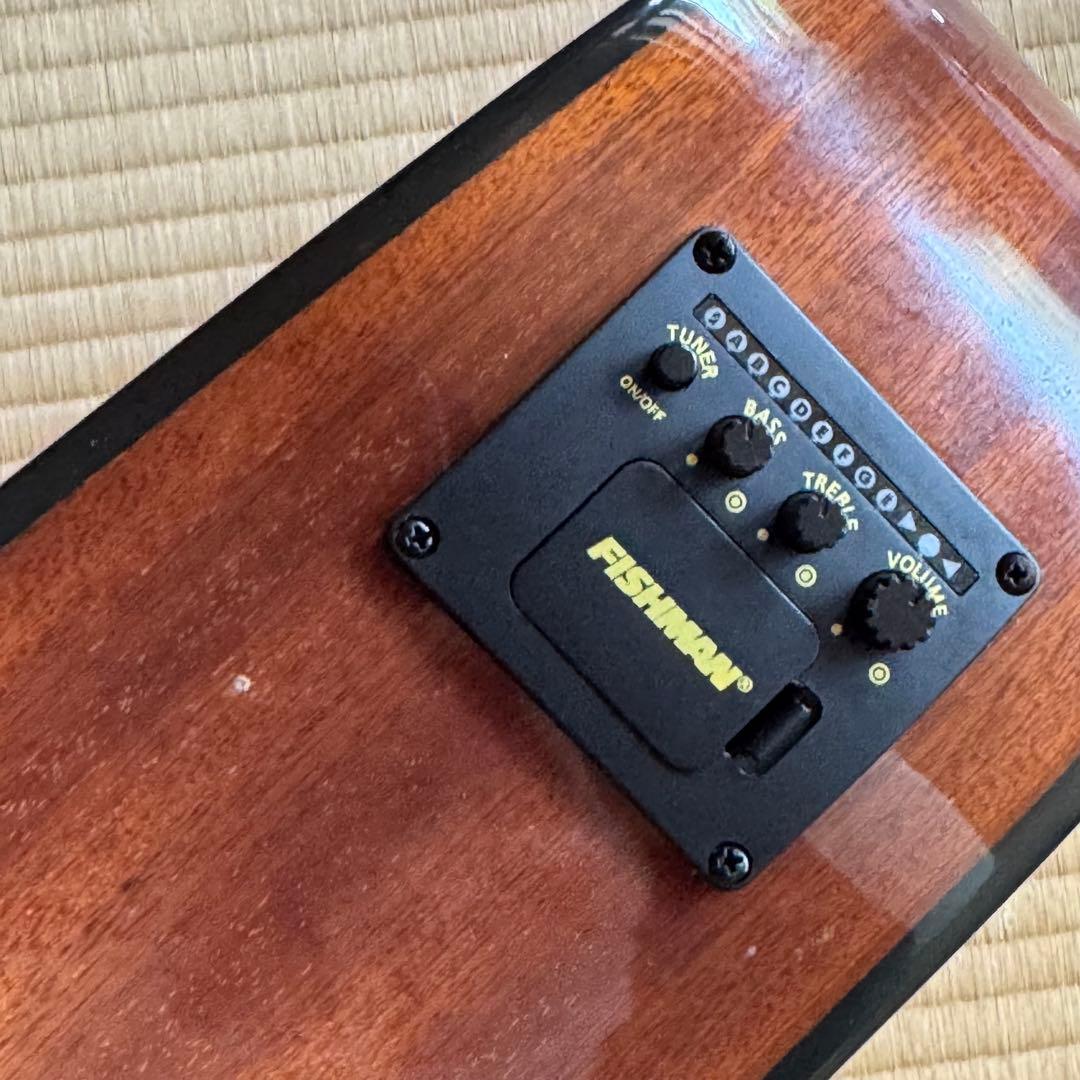 訳あり！誰か僕を直して（涙）！DR-100/NA 改FISHMANエレアコ