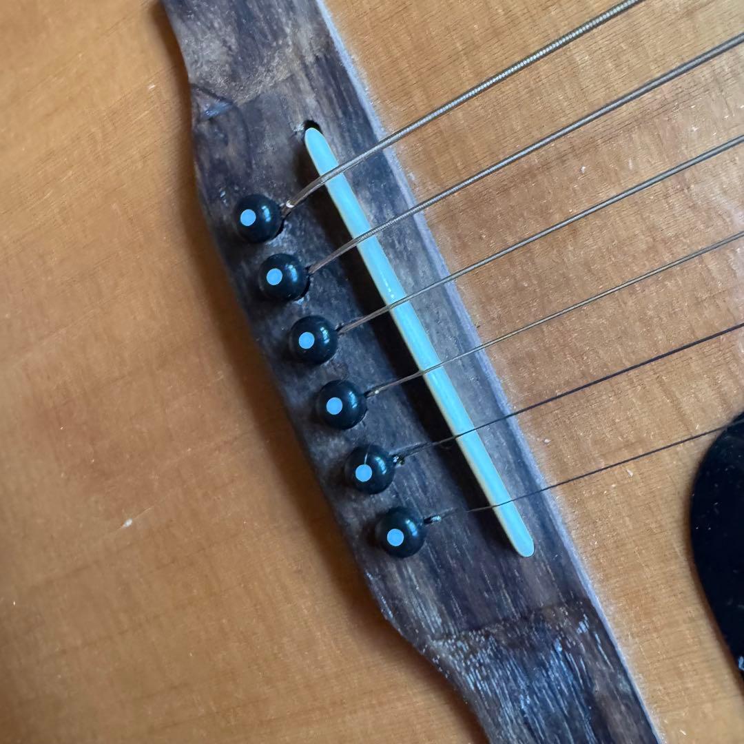 訳あり！誰か僕を直して（涙）！DR-100/NA 改FISHMANエレアコ