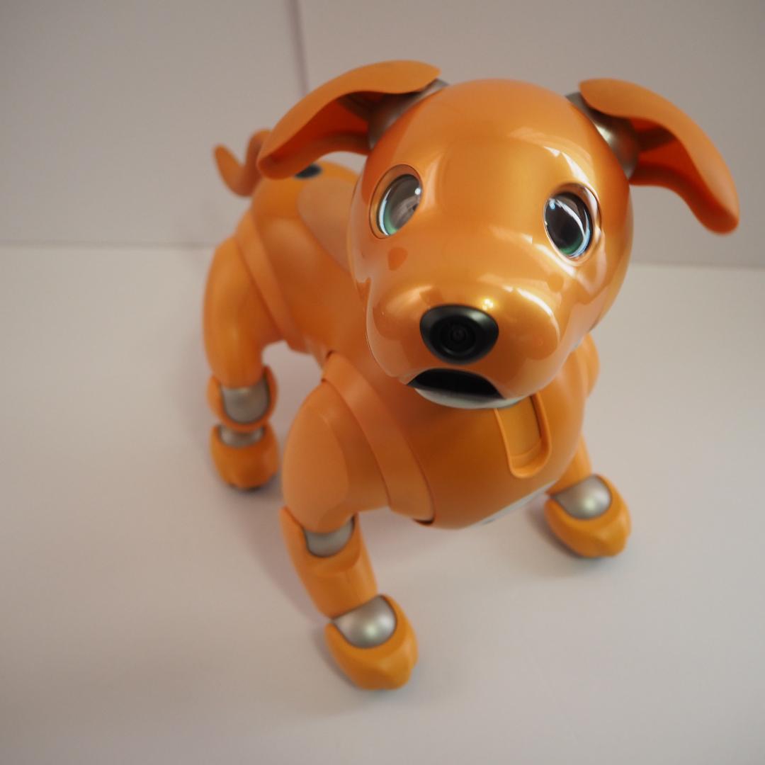 ソニー アイボ キャラメルエディション ERS-1000 ロボット aibo
