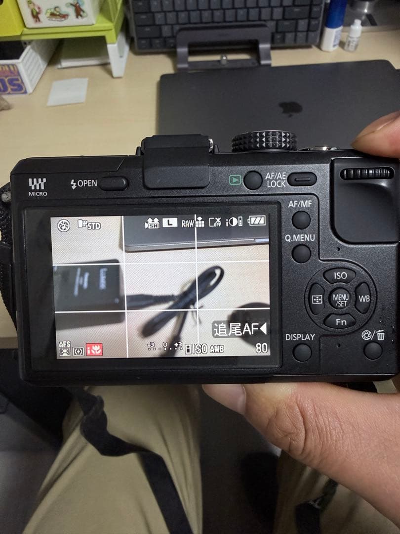 Panasonic lumix GF1Cセット