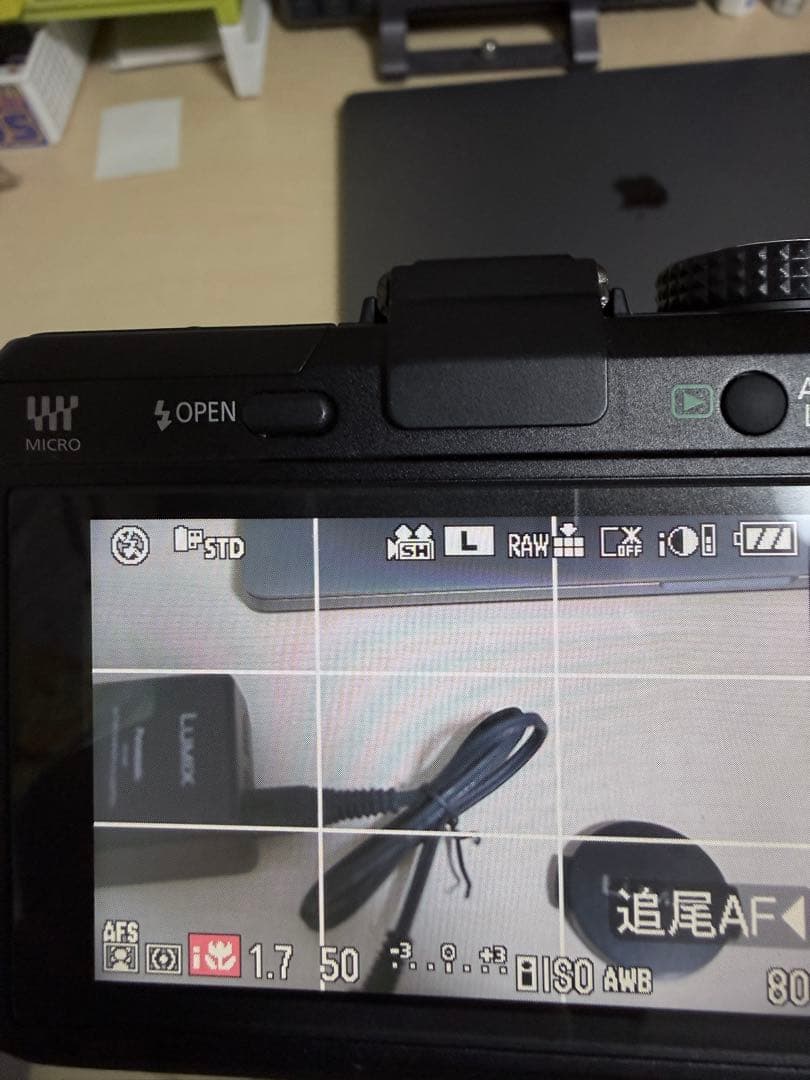 Panasonic lumix GF1Cセット