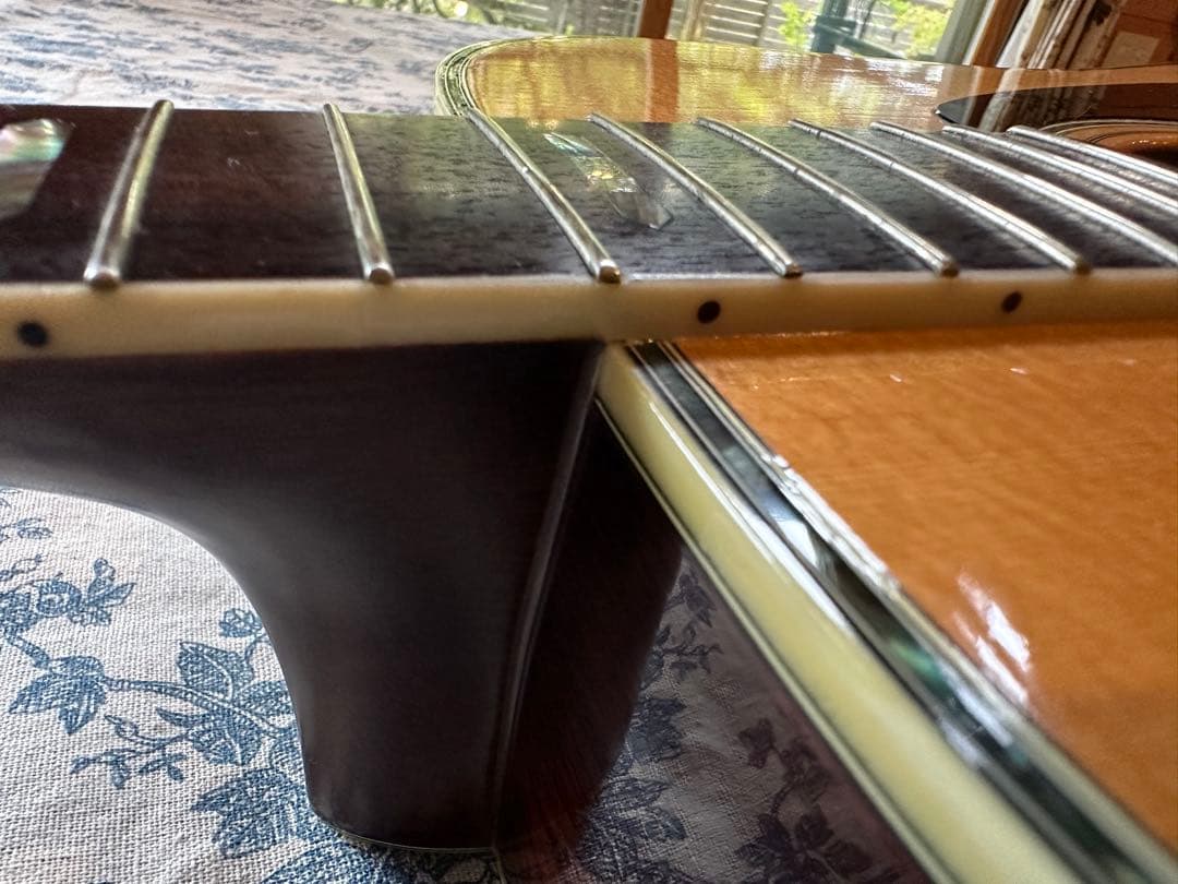 値下げ！極上品！Morris TF-801 アコースティックギター