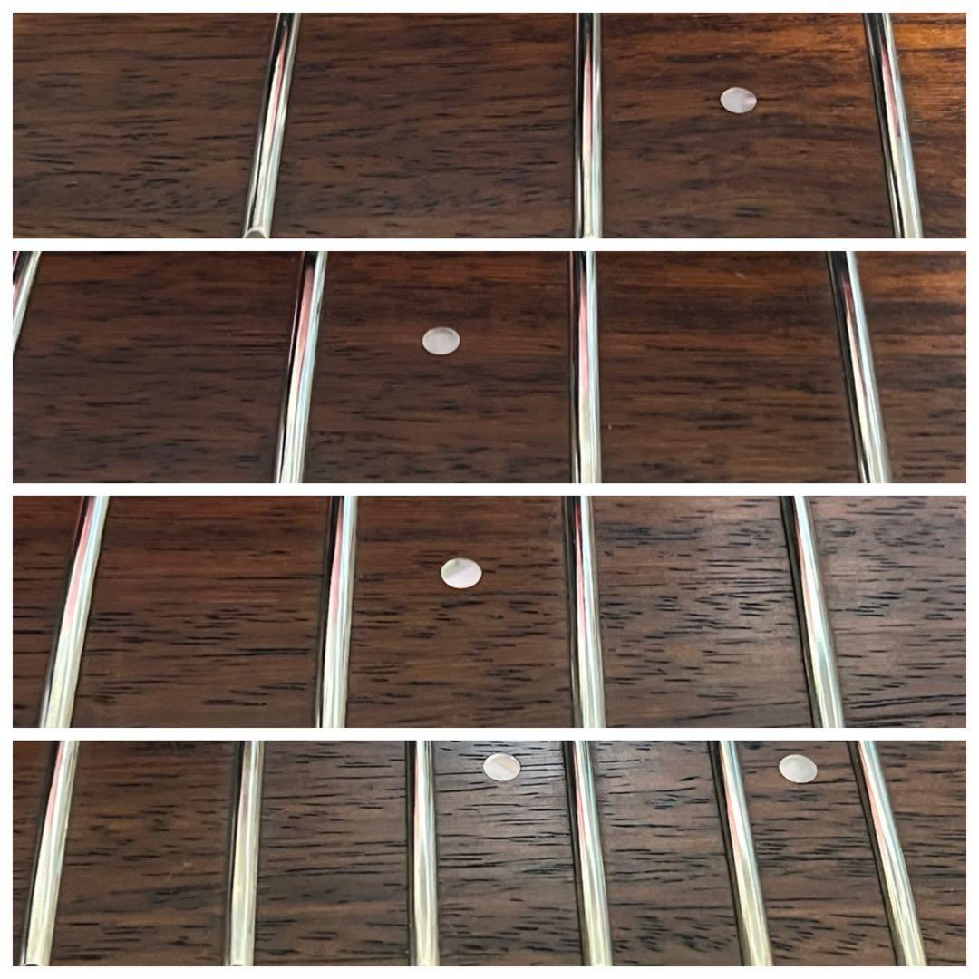 即発送 スクワイヤー stagecaster