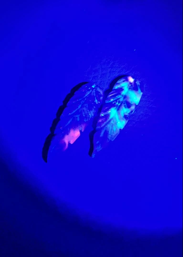 New ロングリーフカービング　14kgfピアス