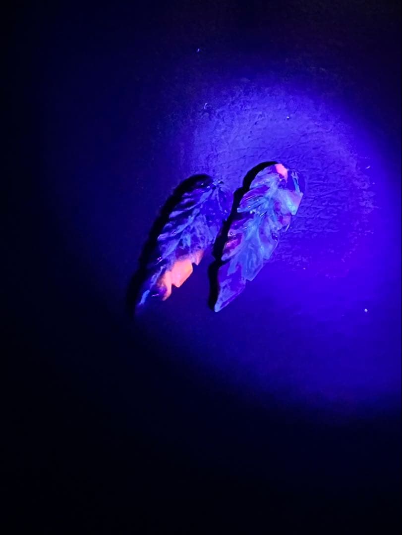 New ロングリーフカービング　14kgfピアス