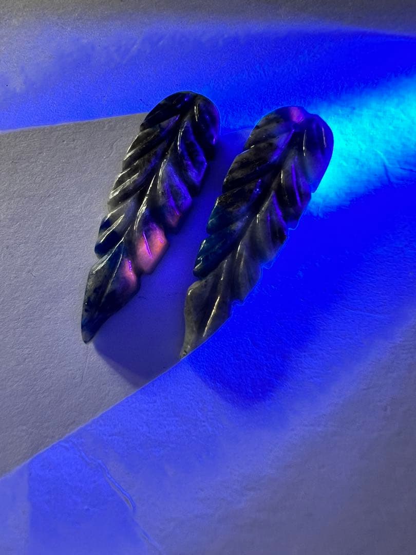 New ロングリーフカービング　14kgfピアス