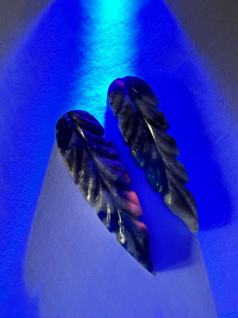 New ロングリーフカービング　14kgfピアス