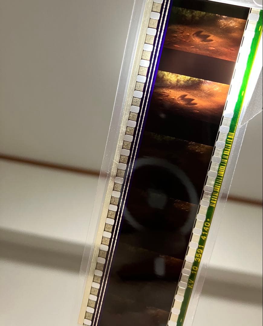 三鷹の森ジブリ美術館 フィルムブックマーカー しおり ジブリブックマーカー ①