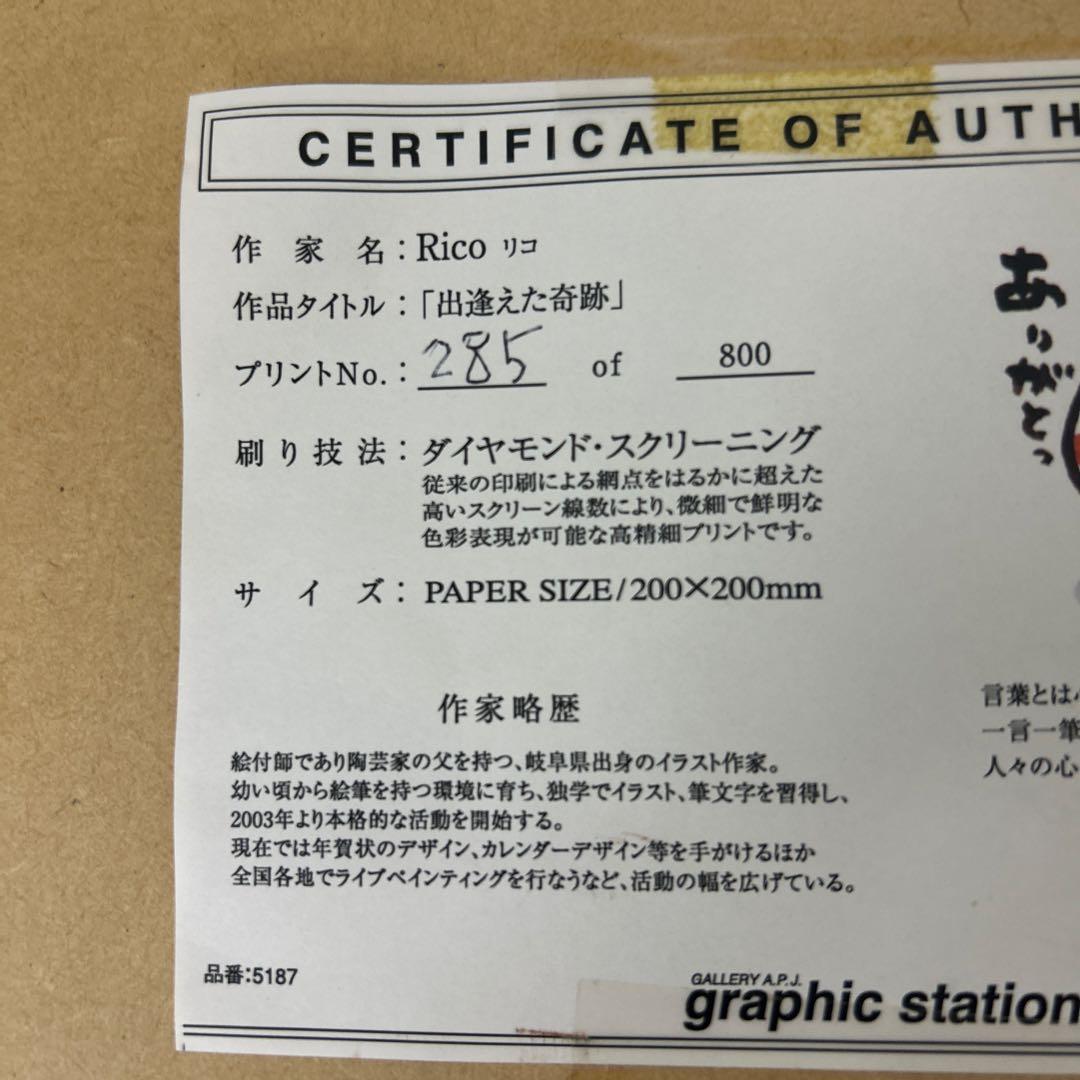 Rico 作　【出逢えた奇跡】　ダイヤモンド・スクリーニング　285 / 800