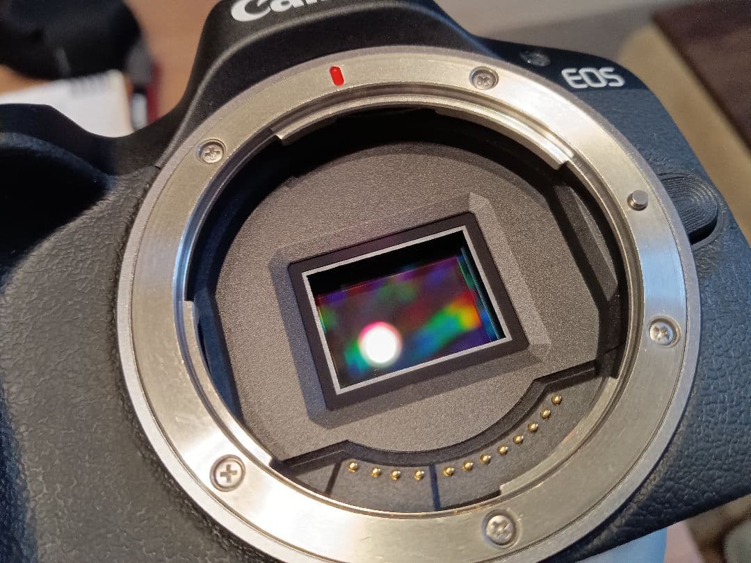 フ*ン様 【センサー清掃済み】Canon EOS R50 ボディ【取説+返金保証