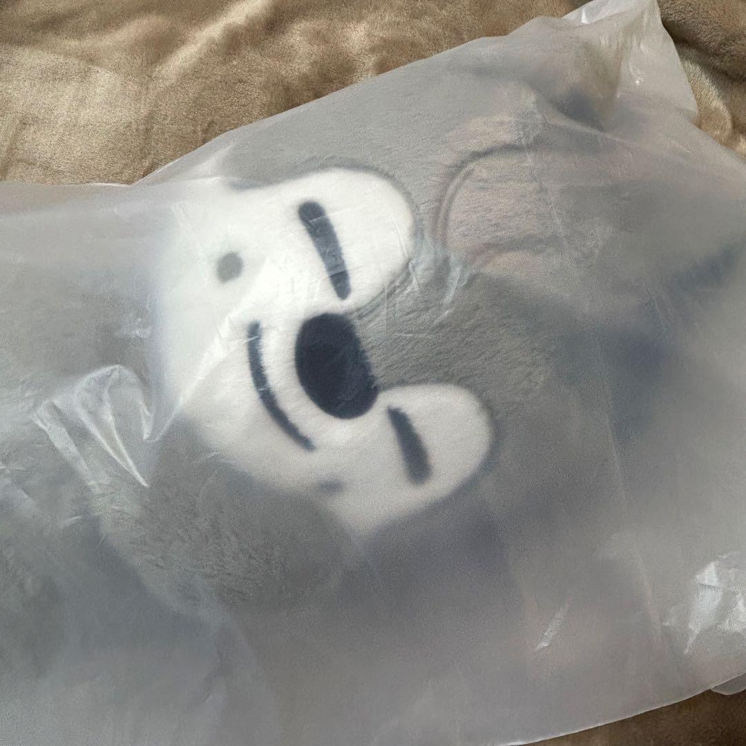 straykids celebrATE プラッシュバッグ バンチャン