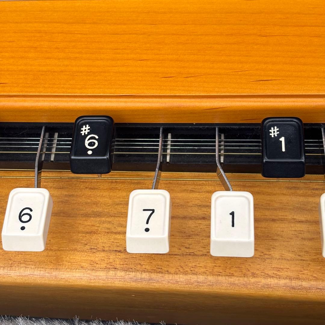 希少　全音　電気大正琴　彩　いろどり　付属品　ハードケース　音出し確認済み