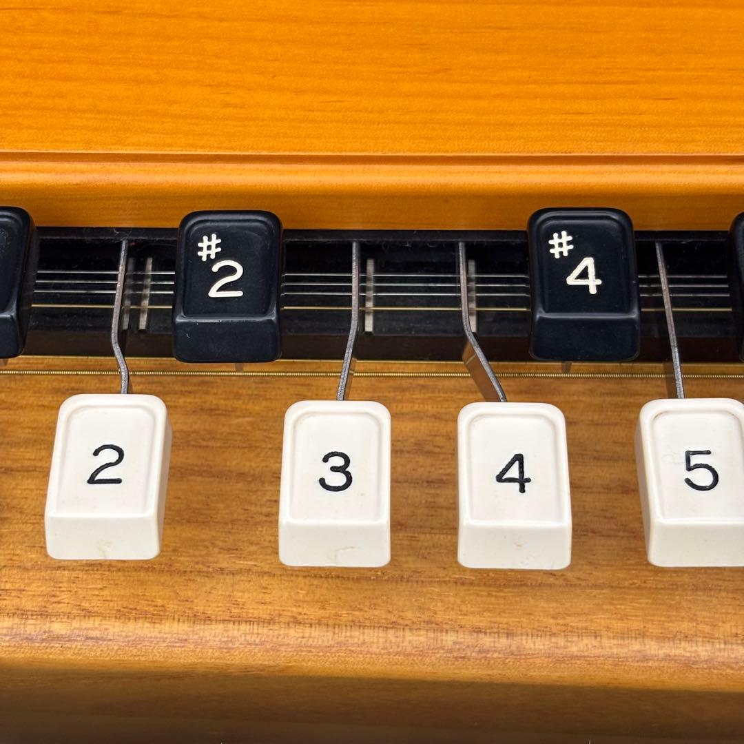 希少　全音　電気大正琴　彩　いろどり　付属品　ハードケース　音出し確認済み