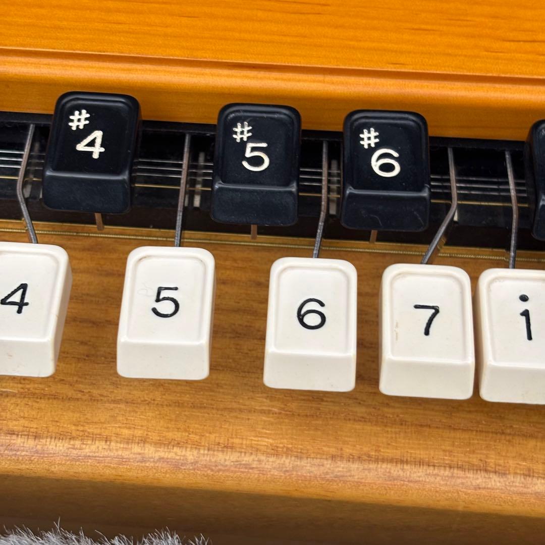 希少　全音　電気大正琴　彩　いろどり　付属品　ハードケース　音出し確認済み