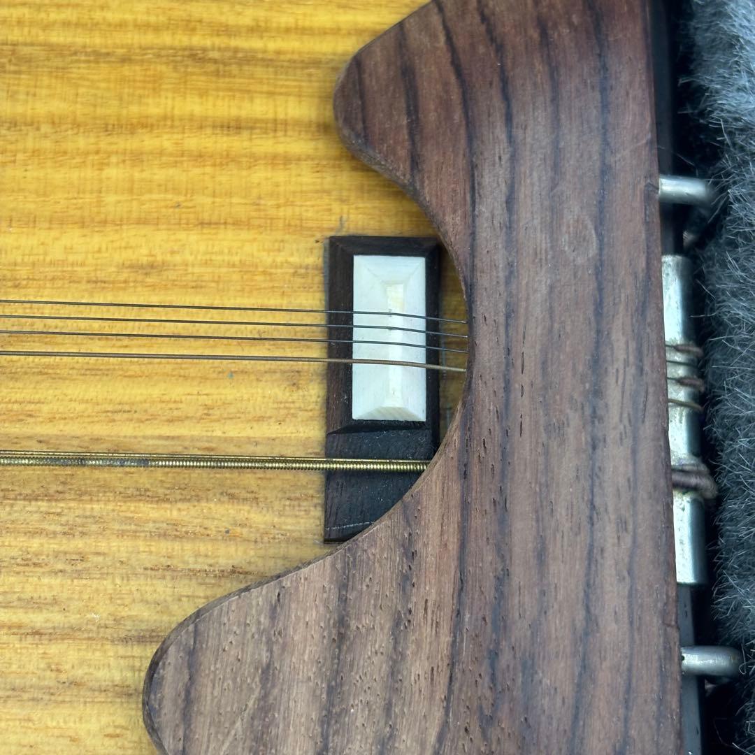 希少　全音　電気大正琴　彩　いろどり　付属品　ハードケース　音出し確認済み