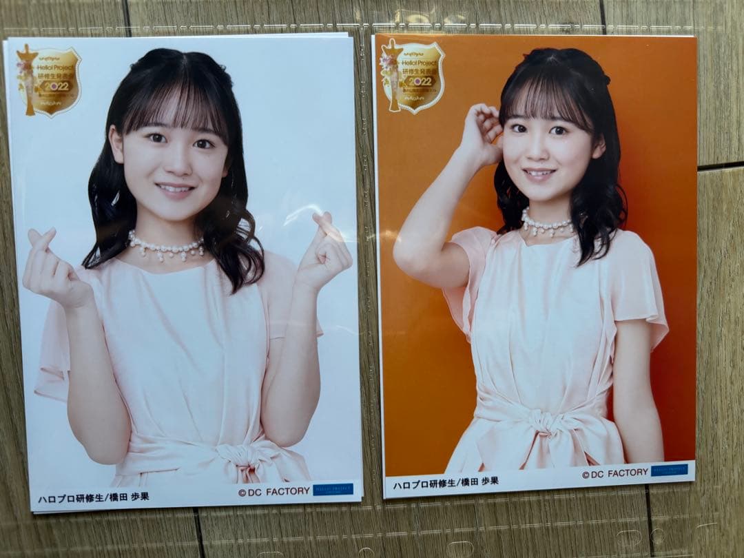 ロージークロニクル　橋田歩果　2L写真 32枚セット　専用A4ファイル入り