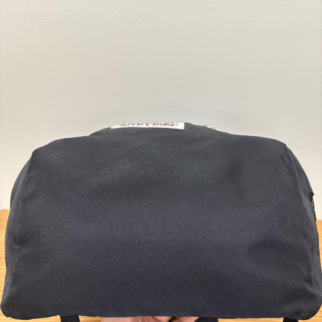 【限定品】 LiSA 10周年 LADYBUG リュック 公式グッズ 未使用品