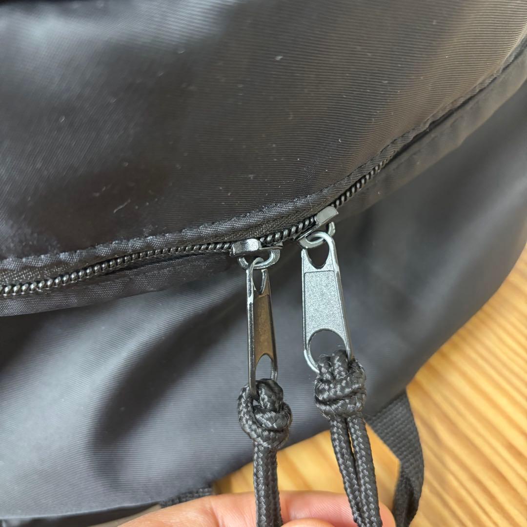 【限定品】 LiSA 10周年 LADYBUG リュック 公式グッズ 未使用品