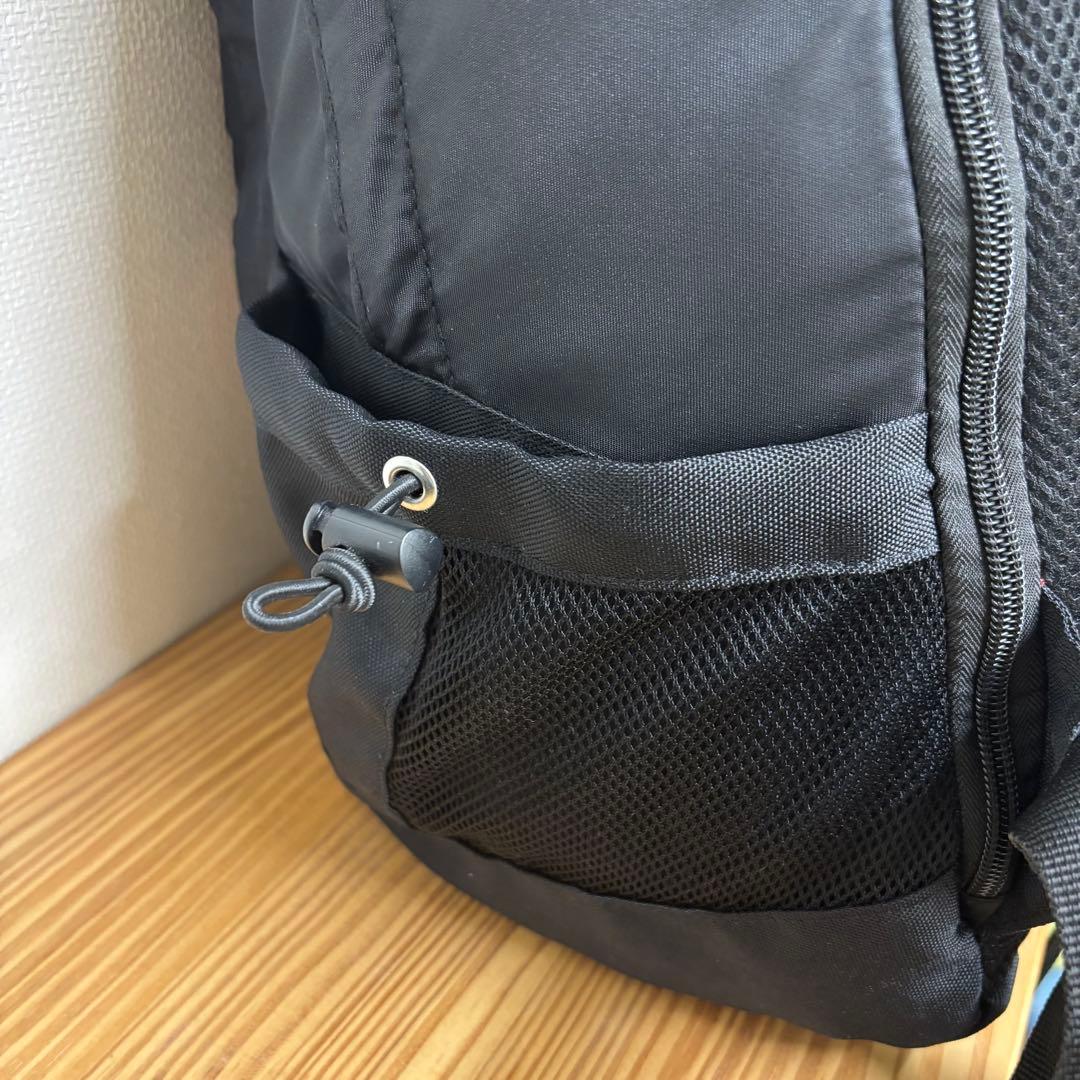 【限定品】 LiSA 10周年 LADYBUG リュック 公式グッズ 未使用品