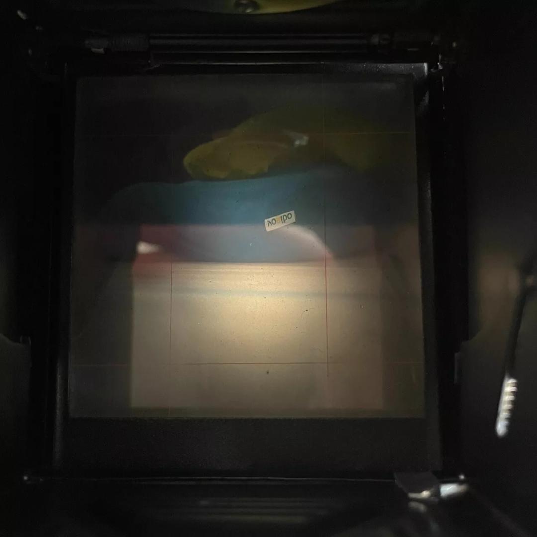 【完動品・美品】 Yashicaflex A 2 II 二眼レフカメラ #529