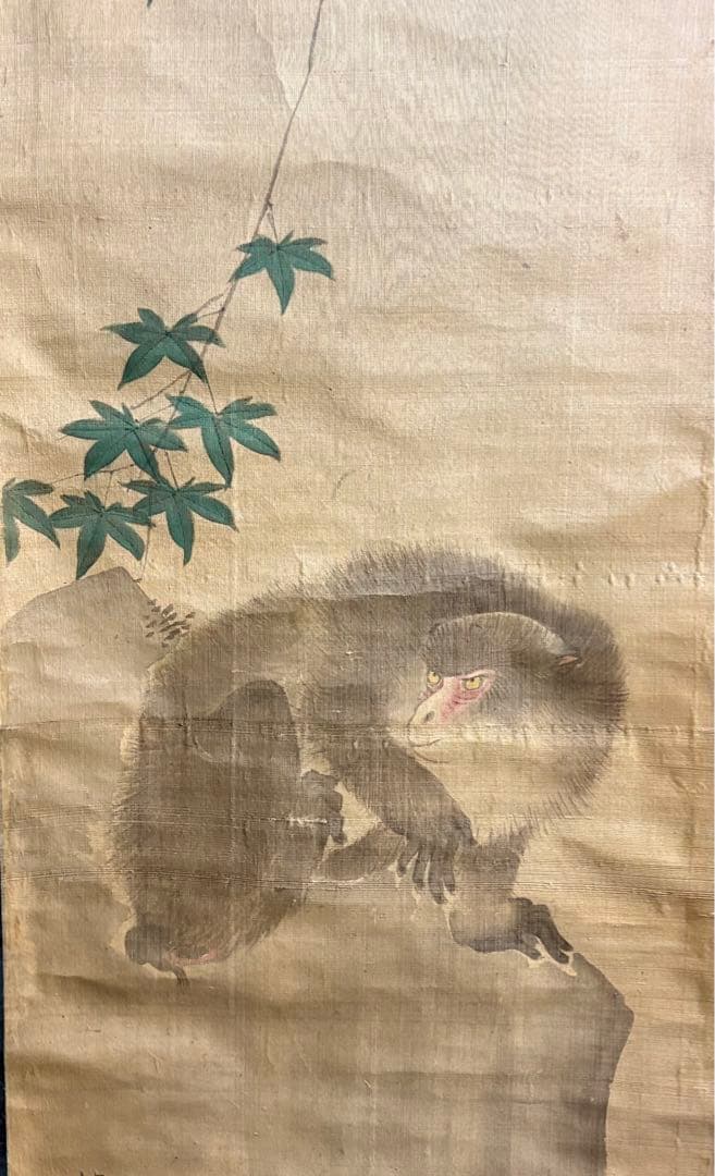 掛軸 在銘 猿 紅葉 画 箱なし 掛け軸 Z9