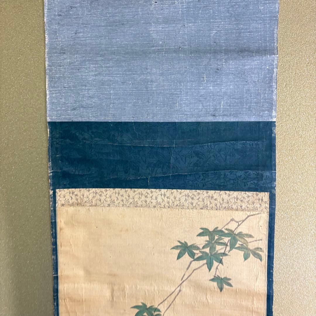 掛軸 在銘 猿 紅葉 画 箱なし 掛け軸 Z9