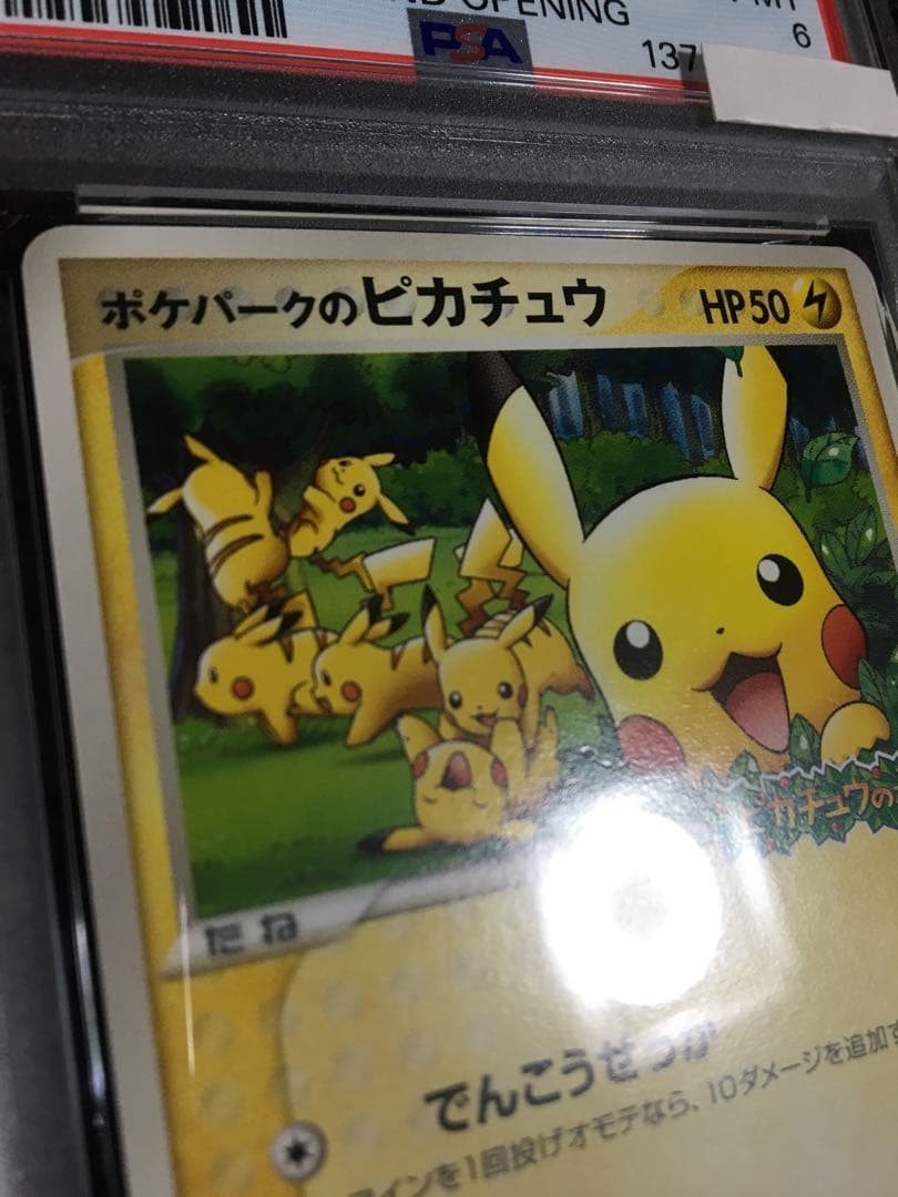 フォローで割引！ ポケモンカード PSA6 ポケパークのピカチュウ PROMO