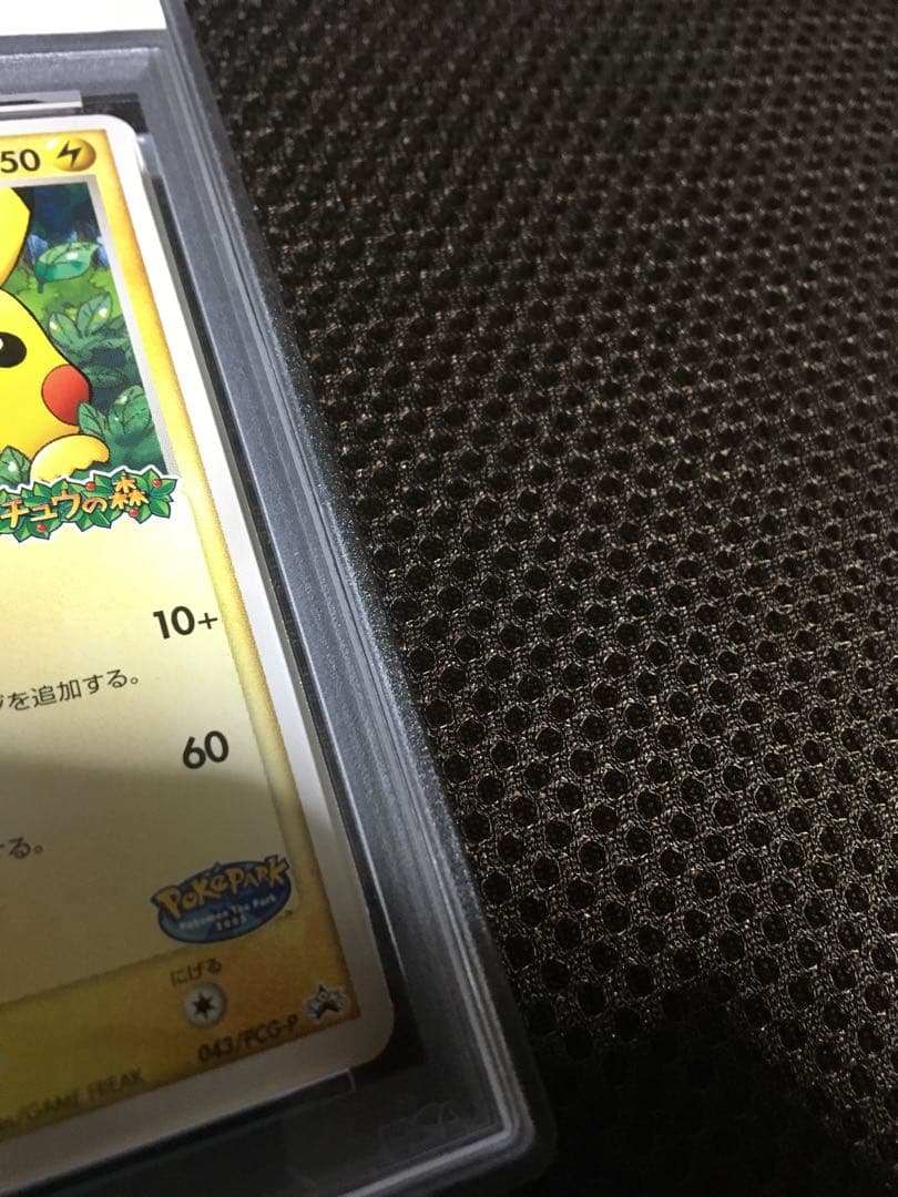 フォローで割引！ ポケモンカード PSA6 ポケパークのピカチュウ PROMO