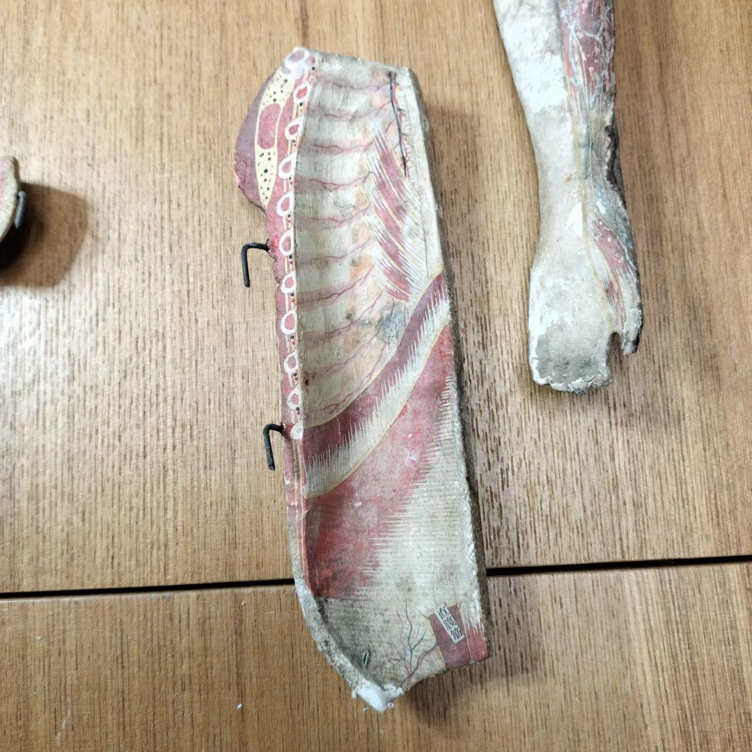 人体模型 　大昔の張り子　約60cm