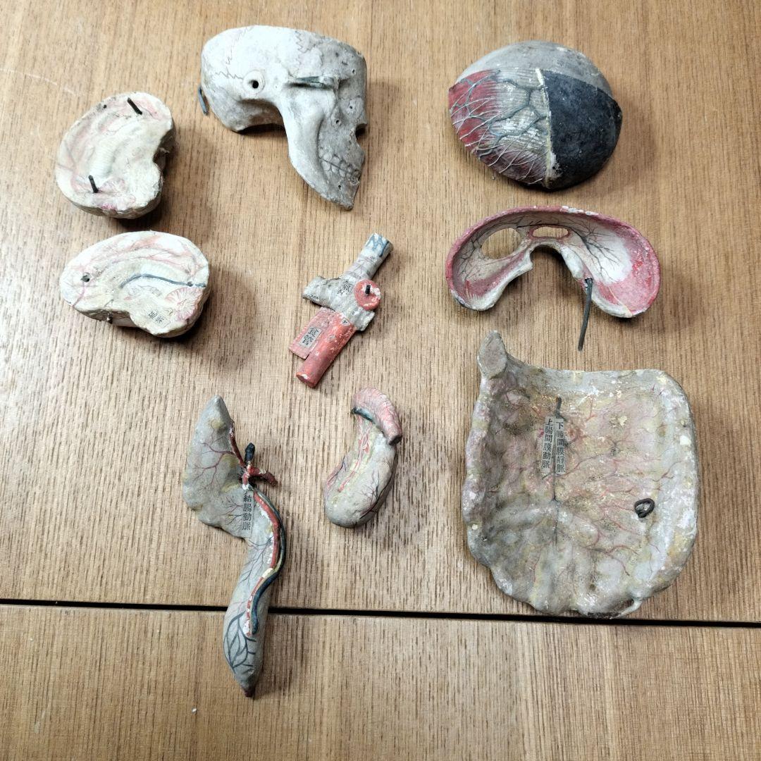 人体模型 　大昔の張り子　約60cm