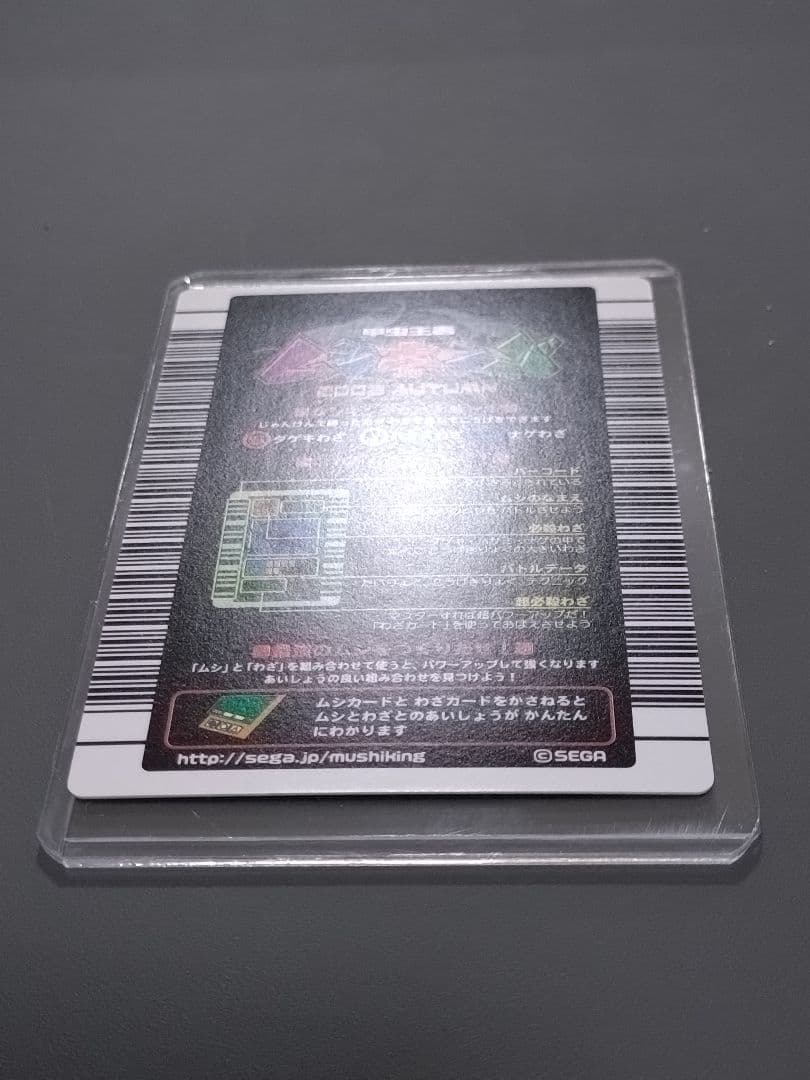 002Hヘルクレスオオカブト 2003秋 極美品