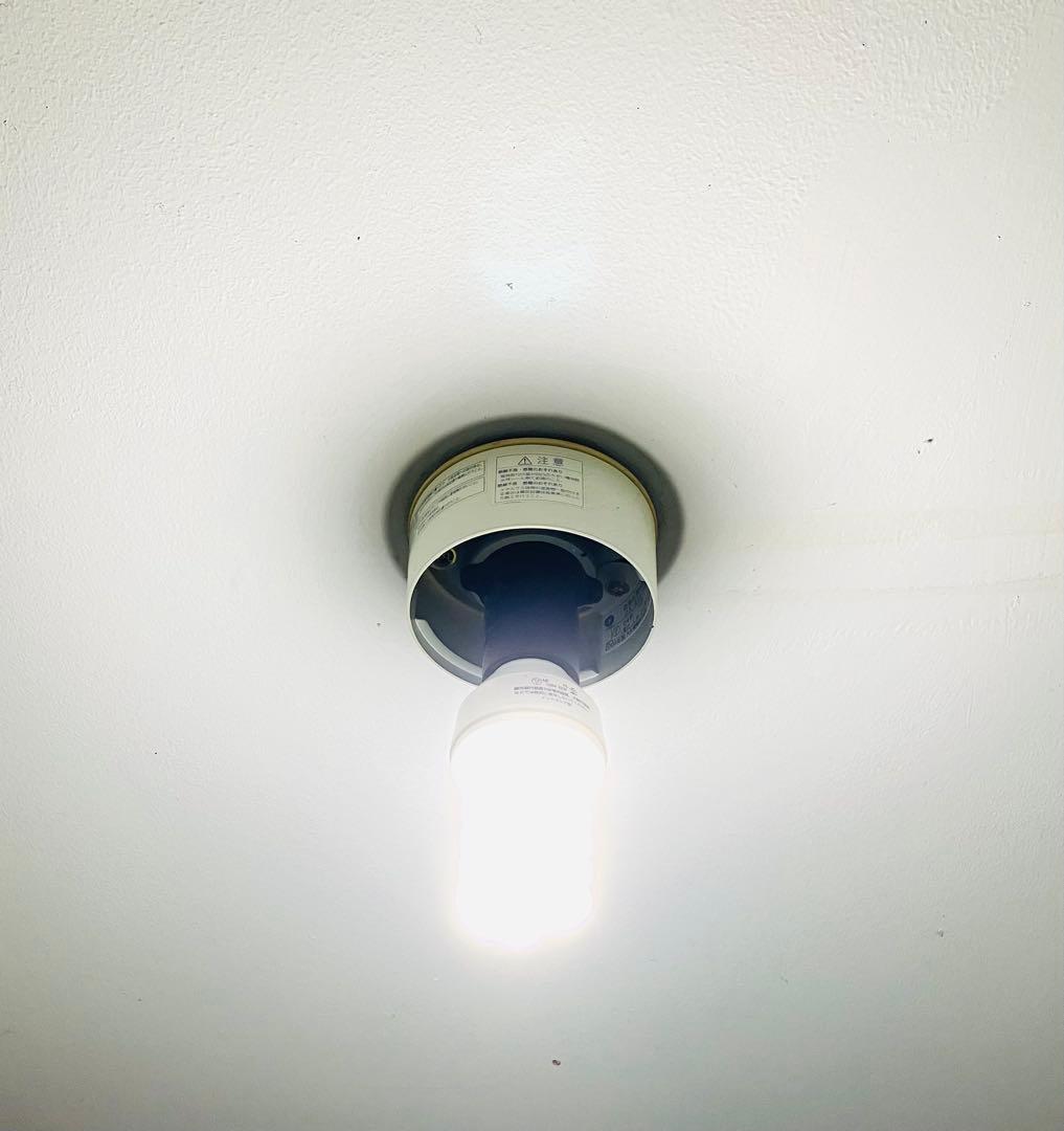 パナソニック パルックボールスパイラル ナチュラル色 3個セット ケース違い