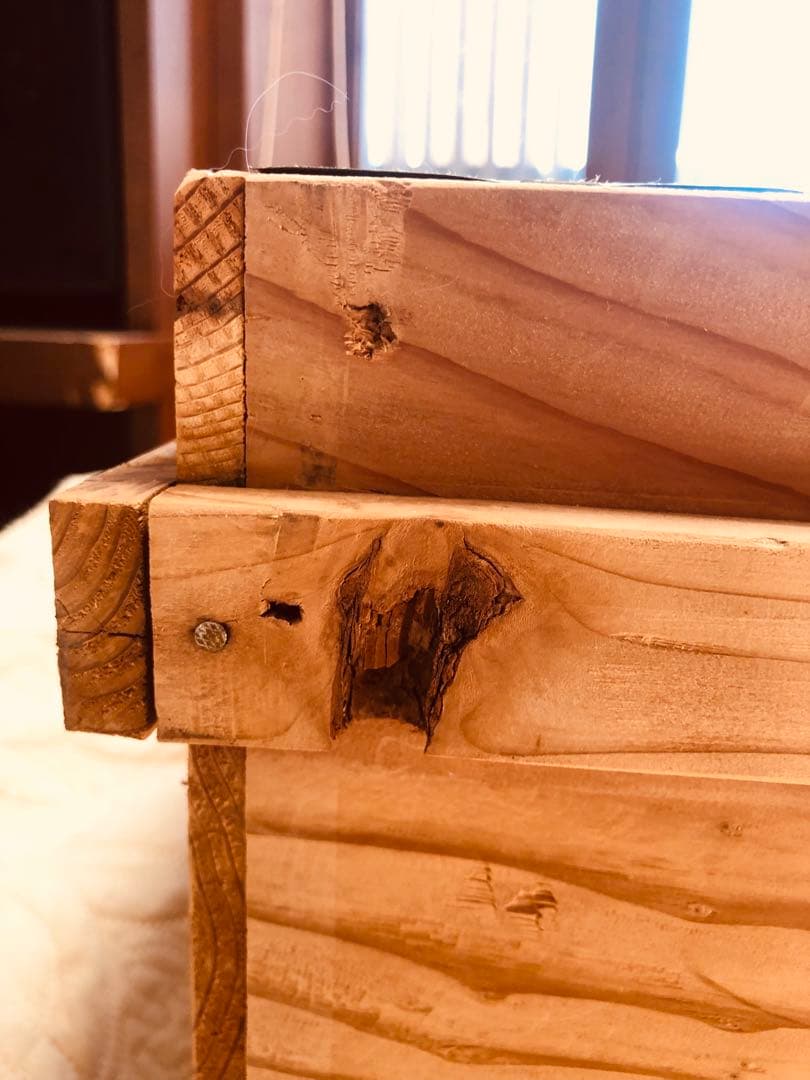 木箱(中) 収納 古道具 茶箱 ねこベッド