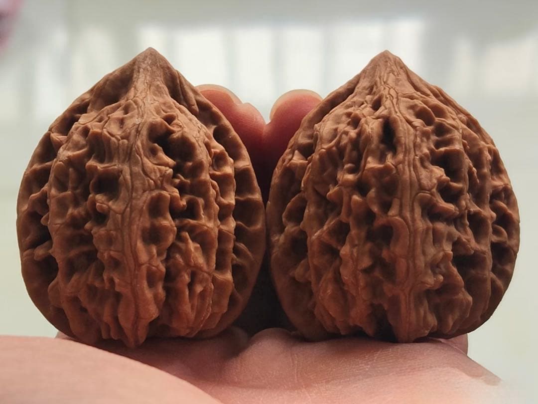 【遊び胡桃頂級】老樹・山地鶏心（サンチケイシン）文玩核桃・極上品