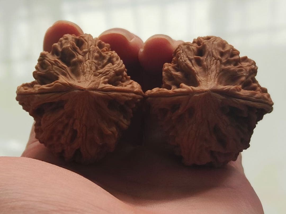 【遊び胡桃頂級】老樹・山地鶏心（サンチケイシン）文玩核桃・極上品