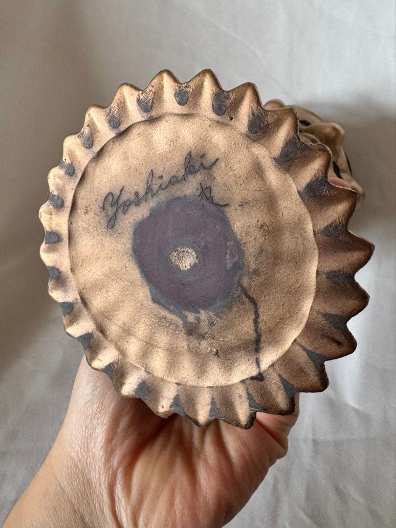 今村能章さん　沖縄　脱皮