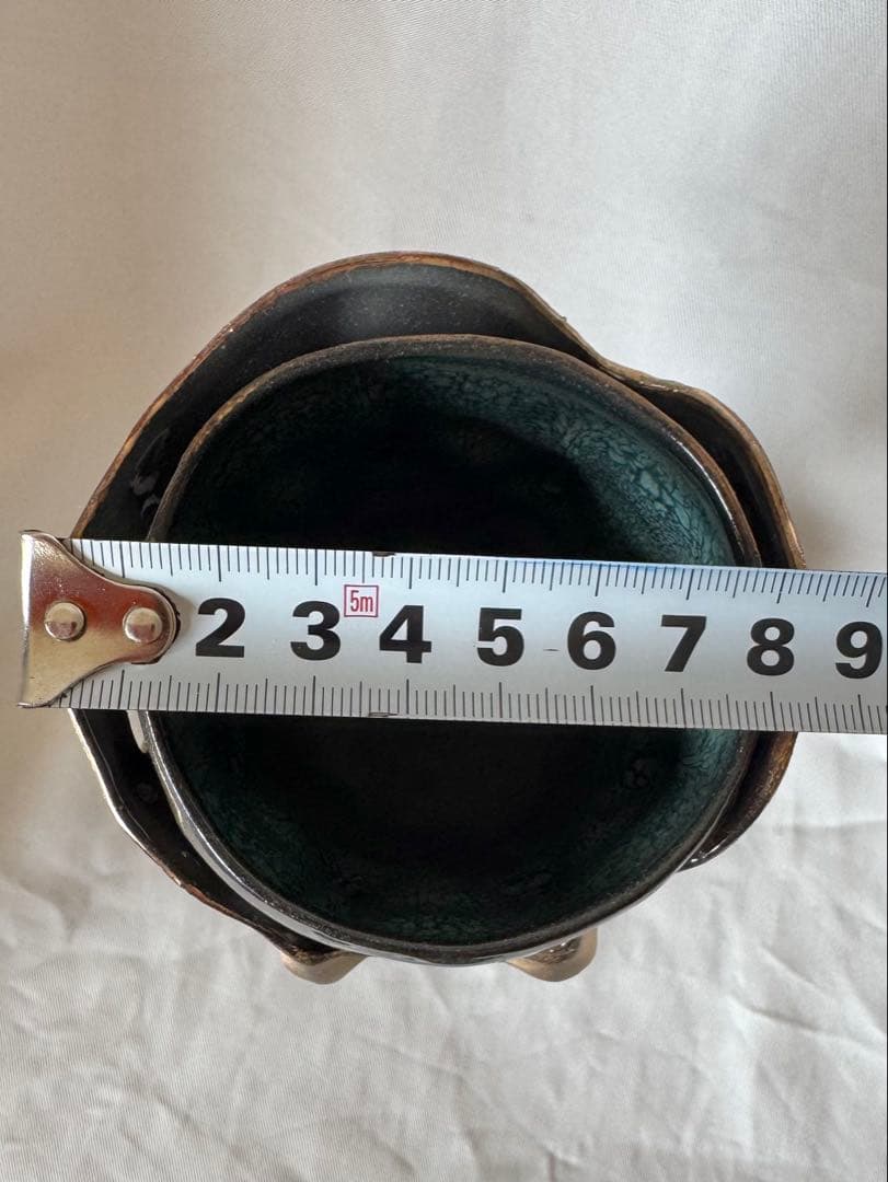 今村能章さん　沖縄　脱皮