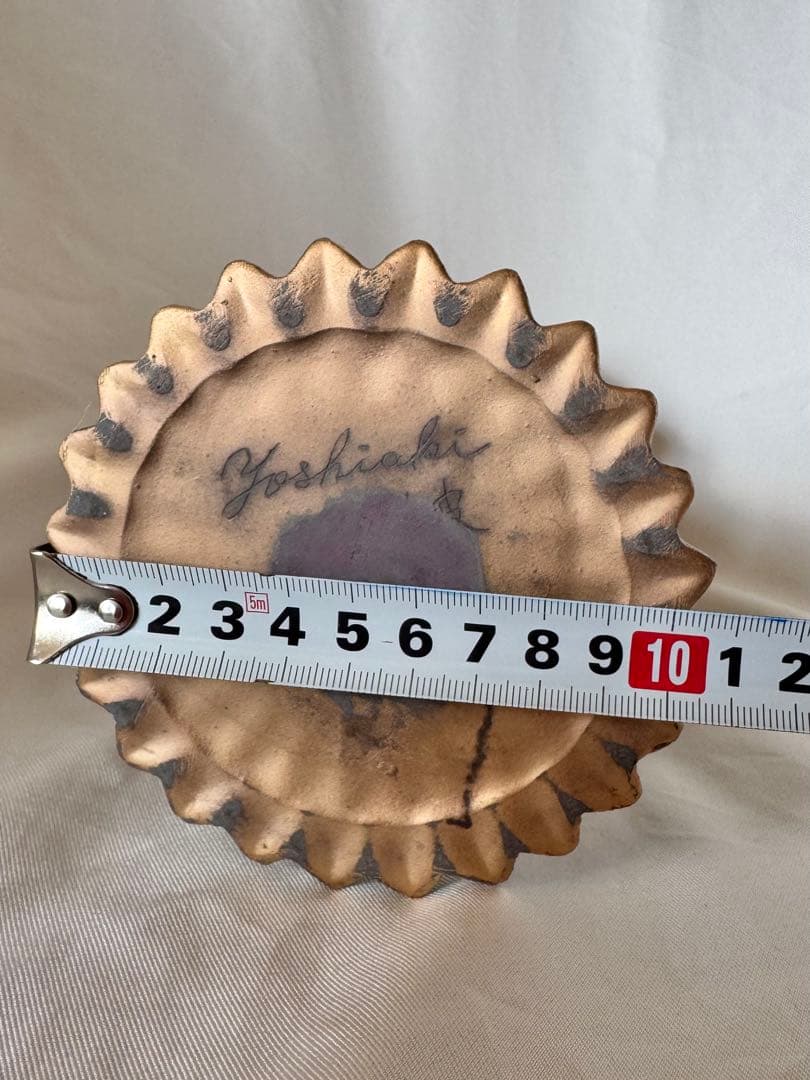 今村能章さん　沖縄　脱皮