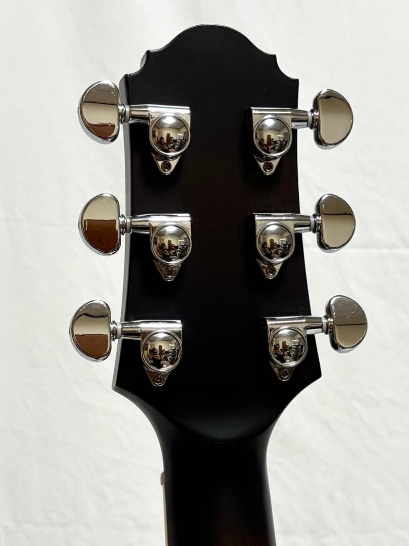 【新品弦張替済】CRAFTER エレアコ SA-TMBK L.R.Baggs