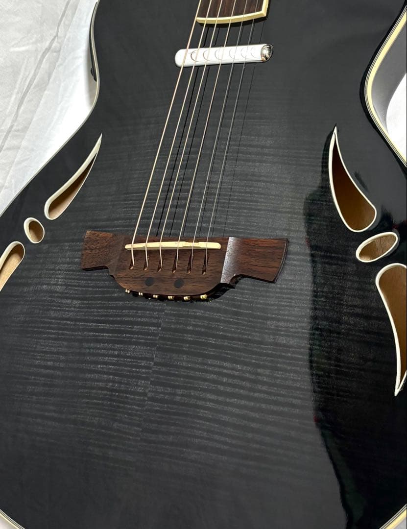 【新品弦張替済】CRAFTER エレアコ SA-TMBK L.R.Baggs