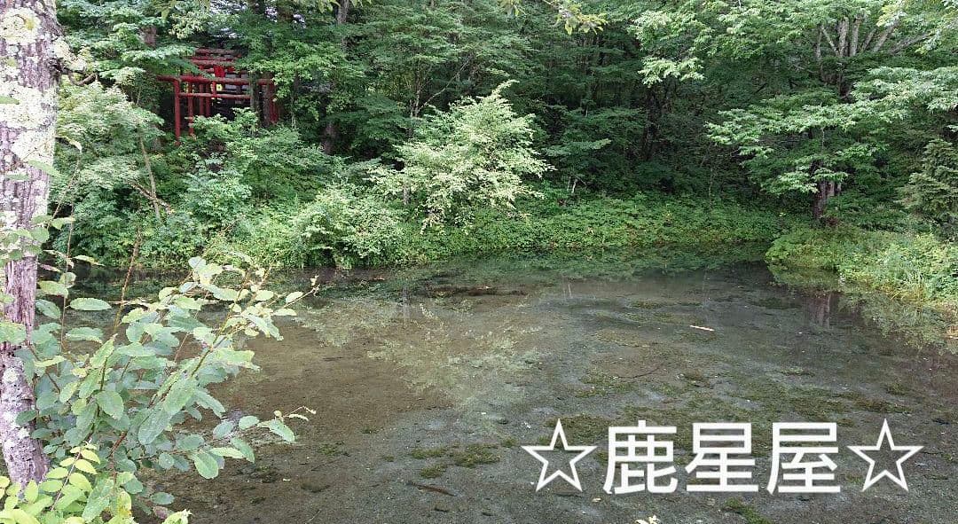 新屋山神社☆本水晶ブレスレッド御守り(大サイズ１体)