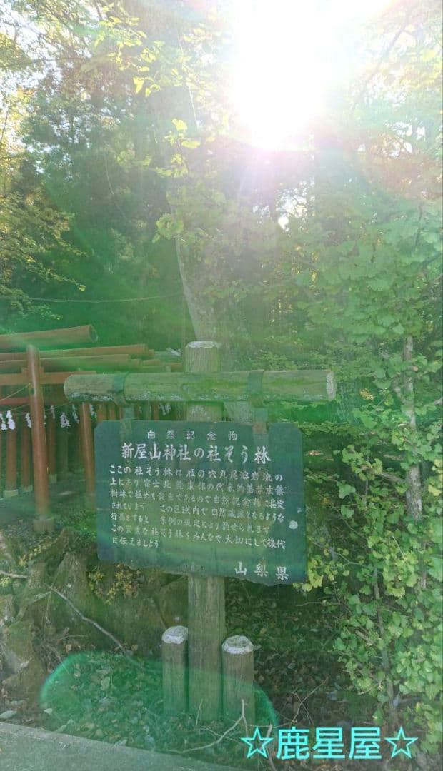 新屋山神社☆本水晶ブレスレッド御守り(大サイズ１体)