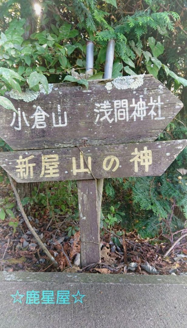 新屋山神社☆本水晶ブレスレッド御守り(大サイズ１体)