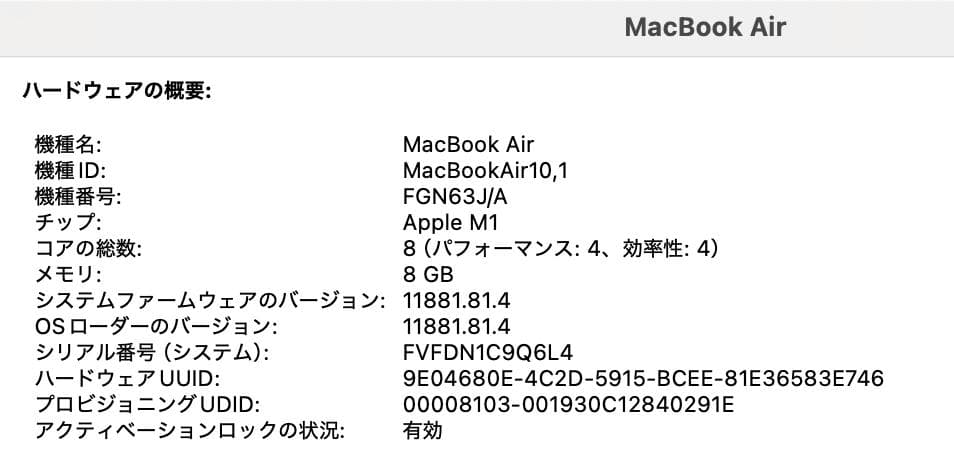 MacBook本体 Apple MacBook Air (M1, 2020) 8GB/256GB
