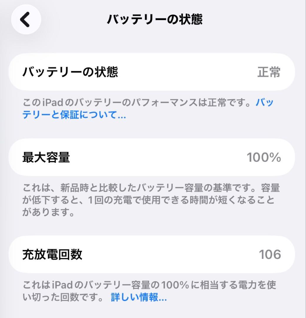iPad本体 Apple iPad mini7 A17Pro 128GB WI-FI