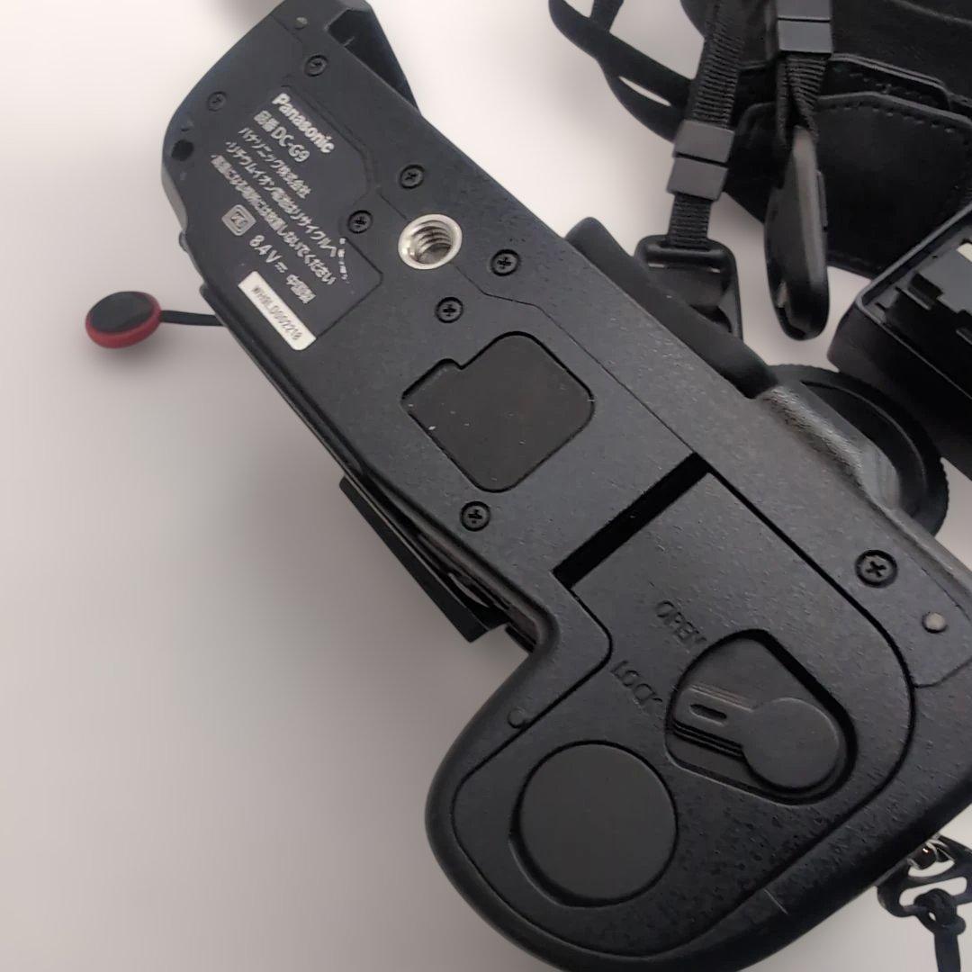 Panasonic LUMIX G9 PRO / V-Log L対応モデル