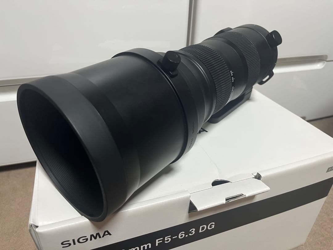 SIGMA 150-600mm F5-6.3 DG sports+α