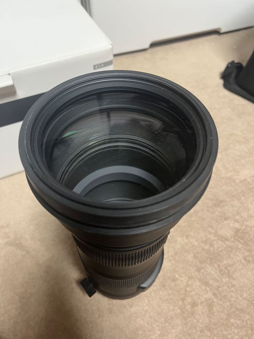 SIGMA 150-600mm F5-6.3 DG sports+α