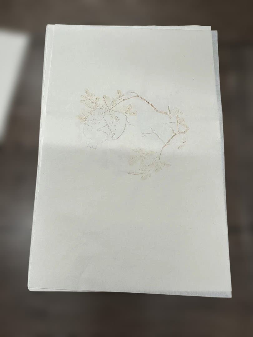 中國仿古信箋 中国 仿古信箋 30枚×2セット 計60枚 和風 書道