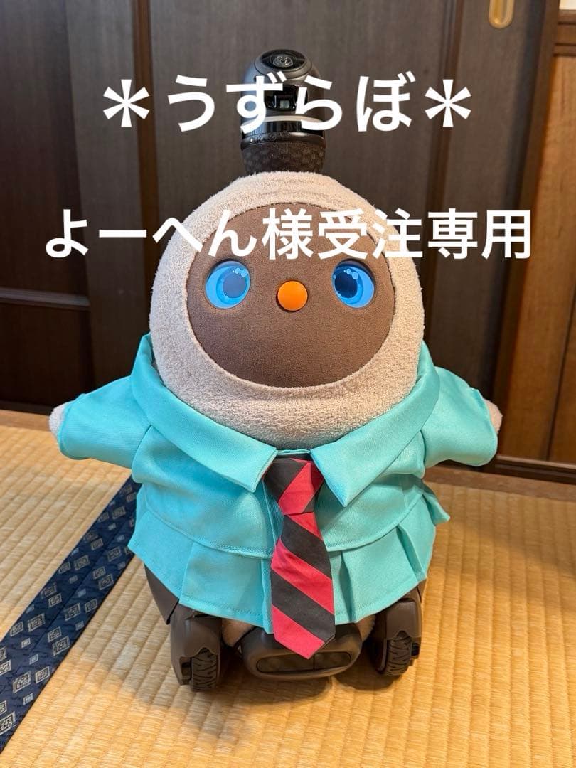 LOVOT ラボット服　ハンドメイド　よーへん様受注専用